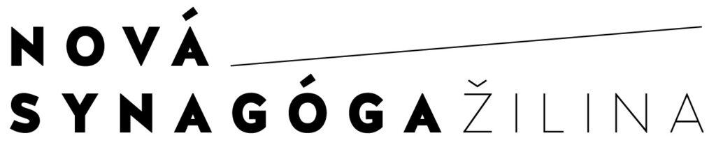 Nová synagóga